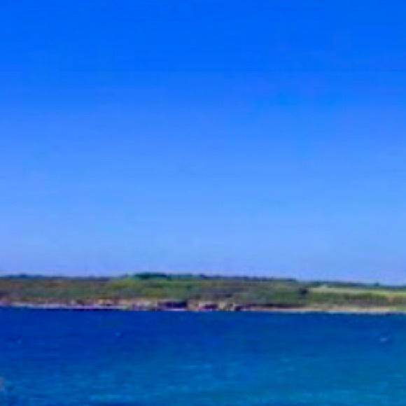 Meet your Posher, Evalyn - Picture 1 of 1